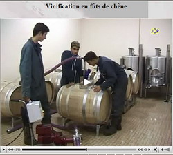 Champagne - Vinification en barriques